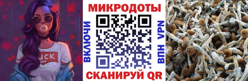 hydra как зайти  Елабуга  Галлюциногенные грибы Psilocybine cubensis 
