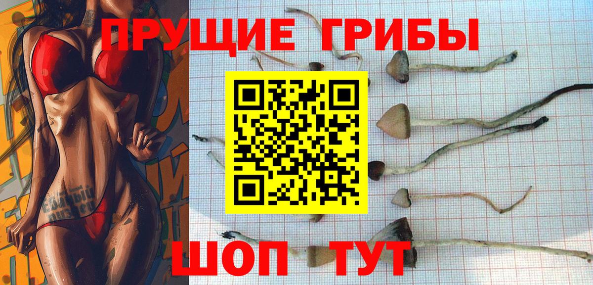 Галлюциногенные грибы прущие грибы Елабуга